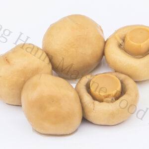 罐头蘑菇皇
